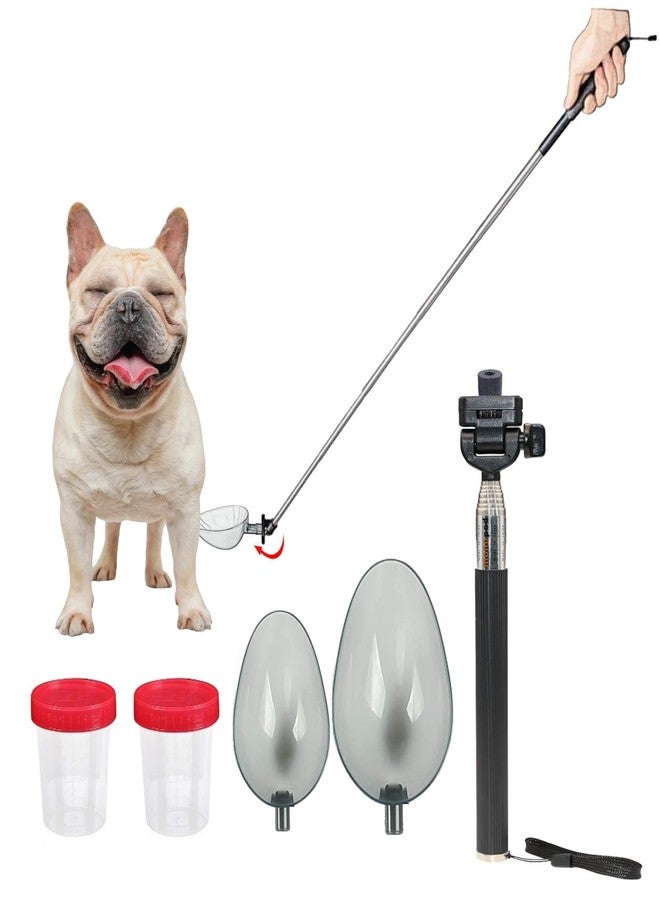 iNenya Dog Cat Urine Collector- Telescopic Handled Dog Pee Sample Catcher for Veterinary Supplies, Urine Stick for Small Large Female Dogs Extends to 42" - Image 1